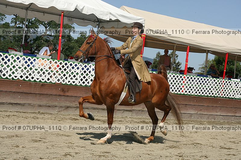 Proof 07upha_1110