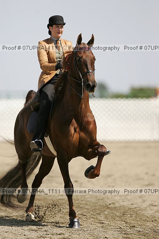 Proof 07upha_1111