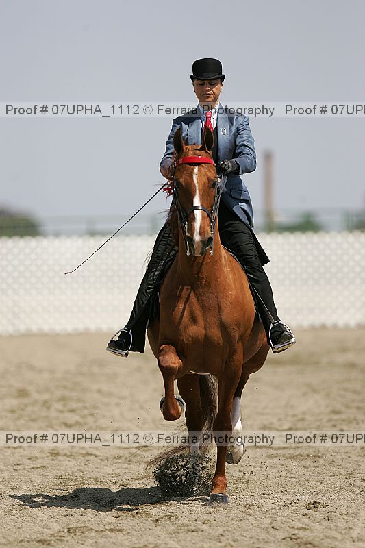 Proof 07upha_1112