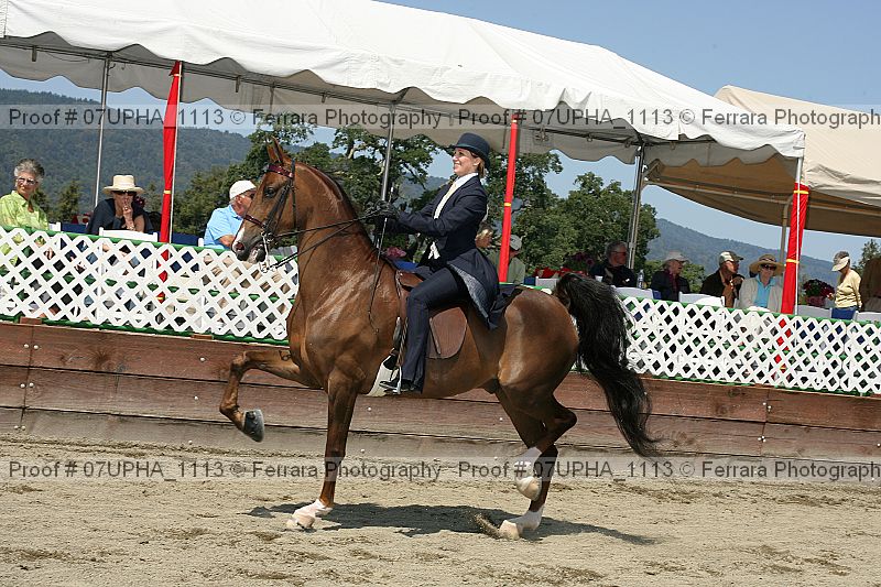 Proof 07upha_1113
