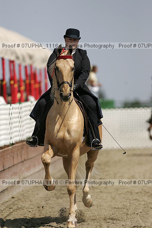 Proof 07upha_1116