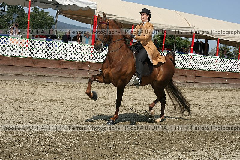 Proof 07upha_1117