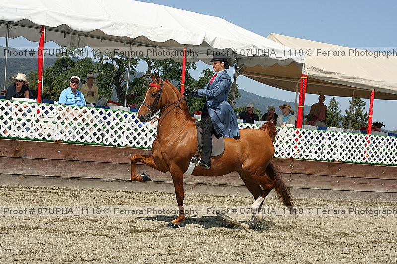 Proof 07upha_1119