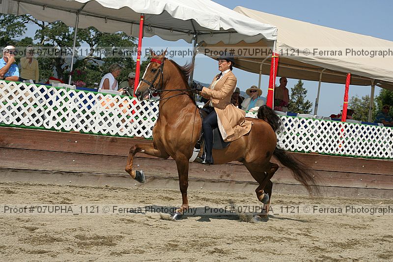 Proof 07upha_1121