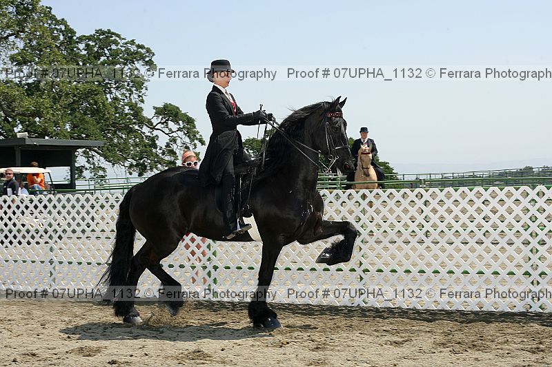 Proof 07upha_1132