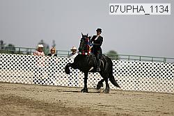 07upha_1134 proof