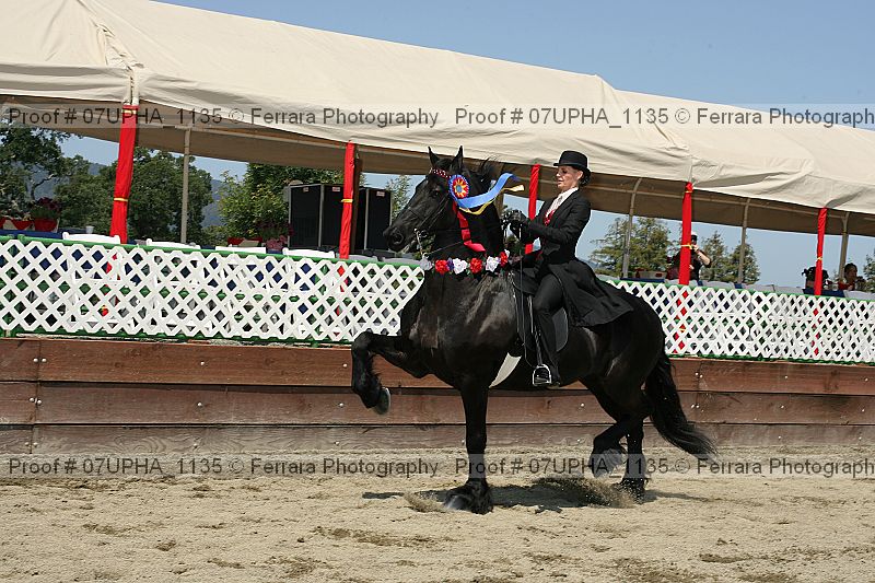 Proof 07upha_1135