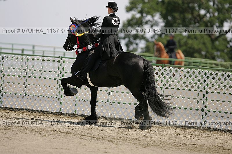 Proof 07upha_1137