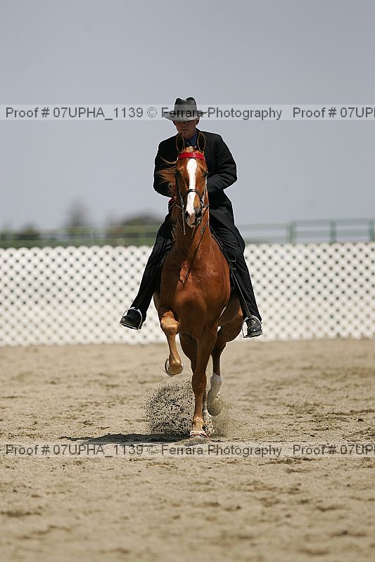 Proof 07upha_1139