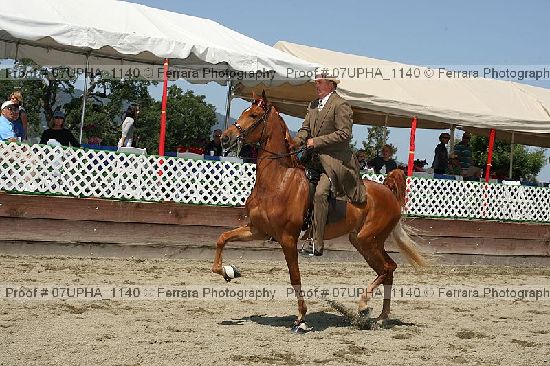 Proof 07upha_1140