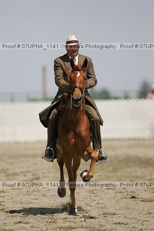 Proof 07upha_1141