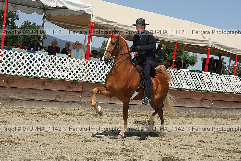 Proof 07upha_1142