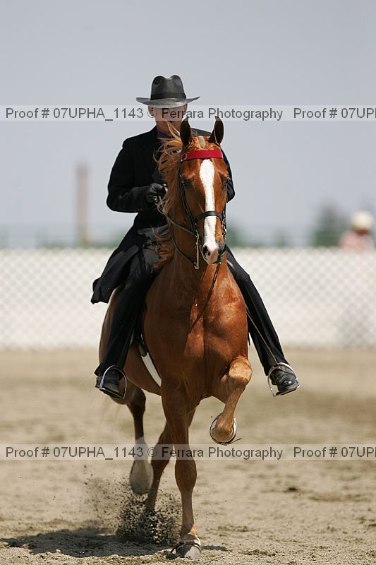 Proof 07upha_1143