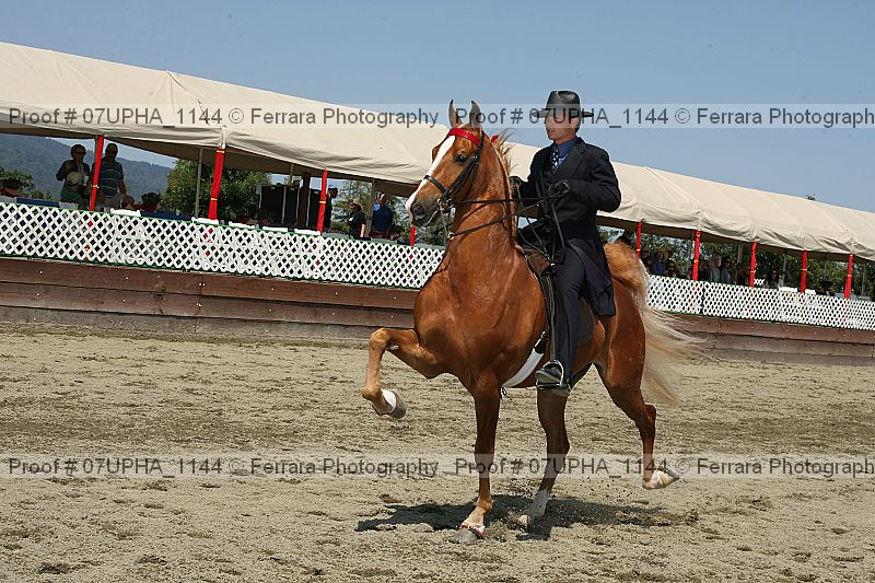 Proof 07upha_1144