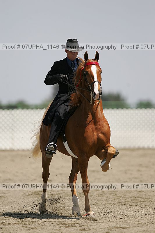 Proof 07upha_1146