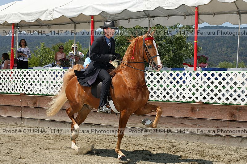 Proof 07upha_1147