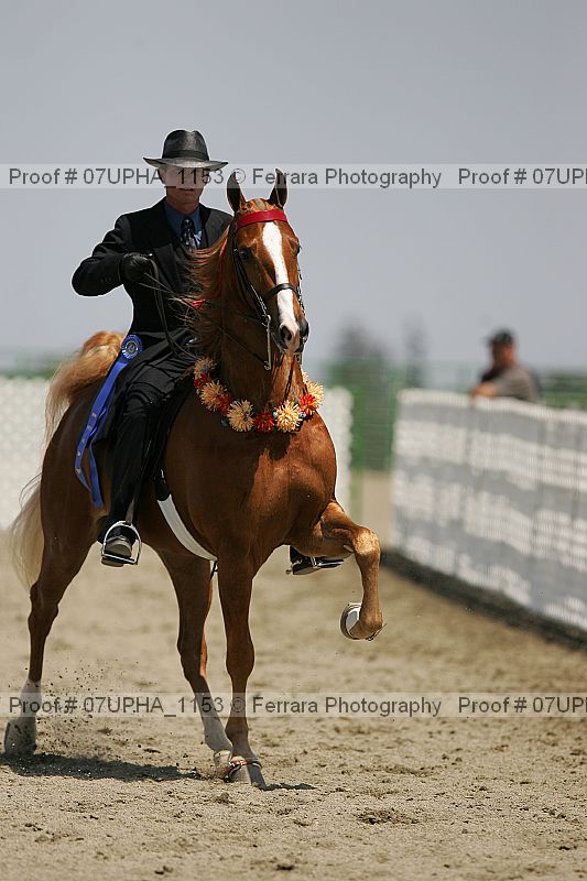 Proof 07upha_1153