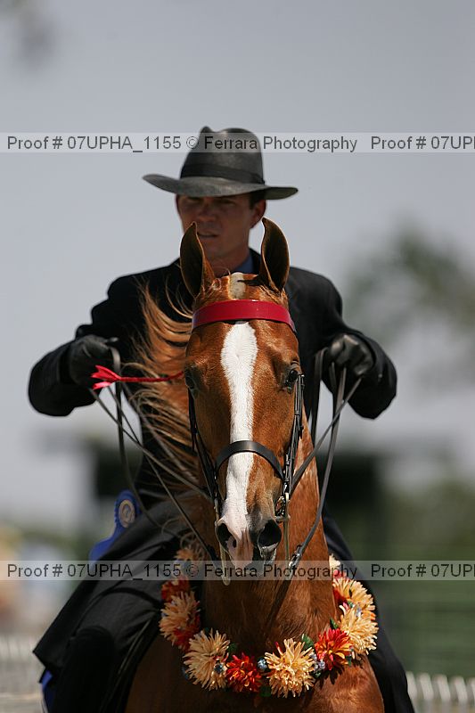 Proof 07upha_1155
