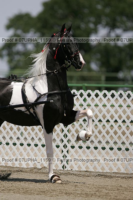Proof 07upha_1159