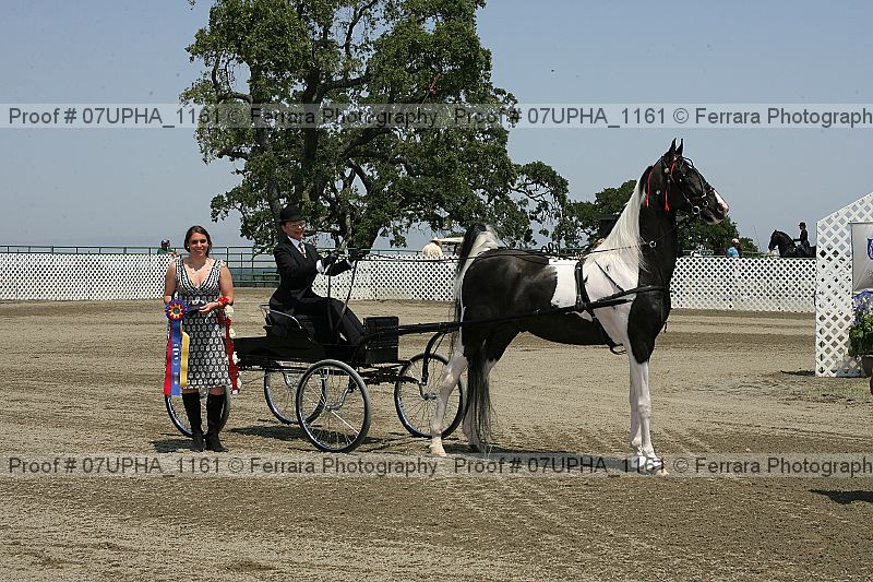 Proof 07upha_1161