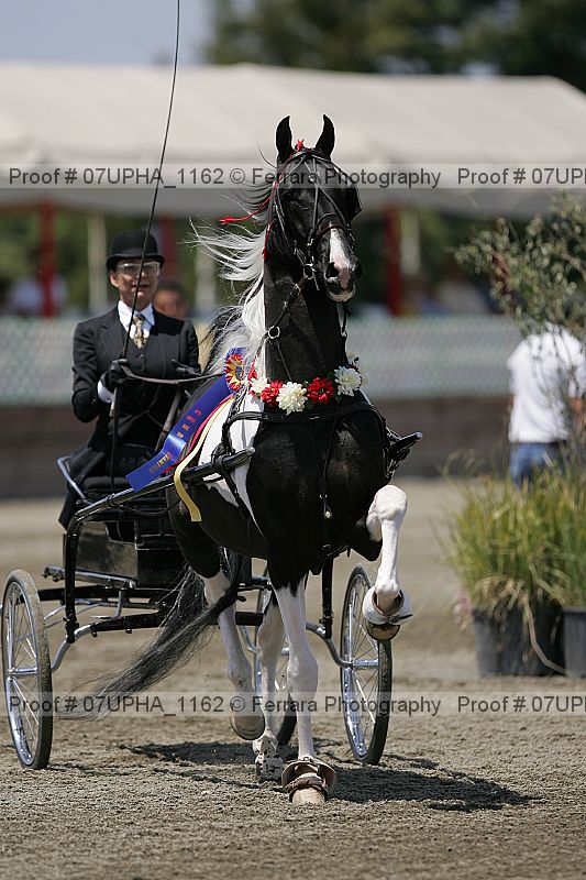 Proof 07upha_1162