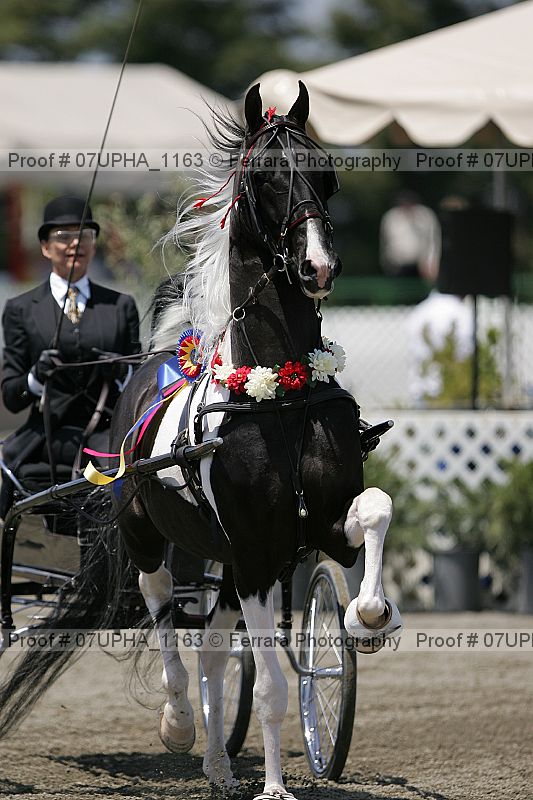 Proof 07upha_1163