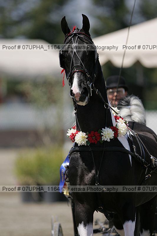 Proof 07upha_1164
