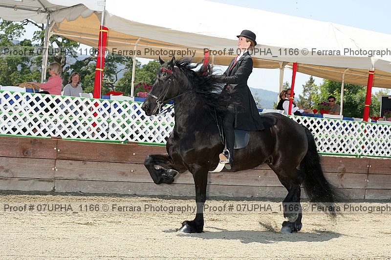 Proof 07upha_1166