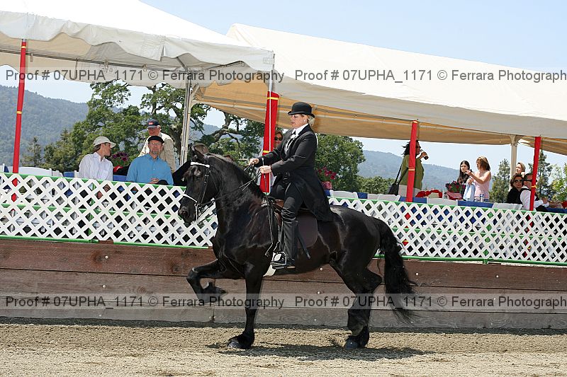 Proof 07upha_1171