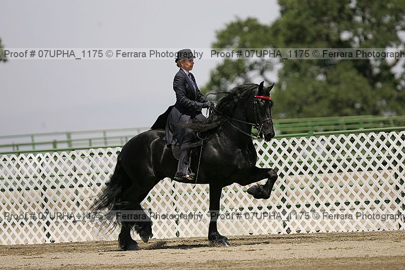 Proof 07upha_1175