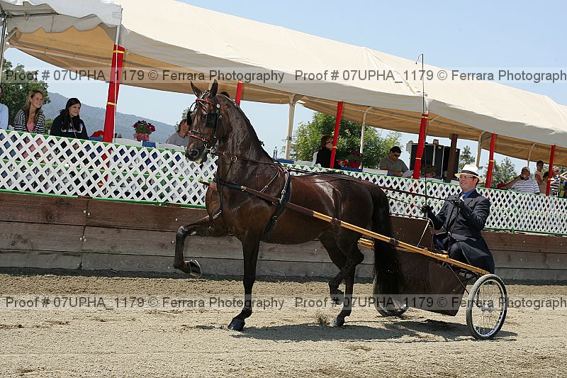 Proof 07upha_1179