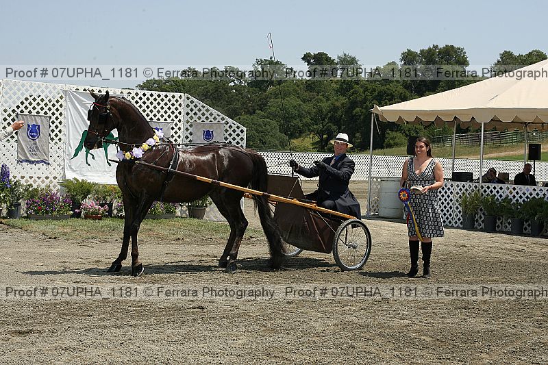 Proof 07upha_1181