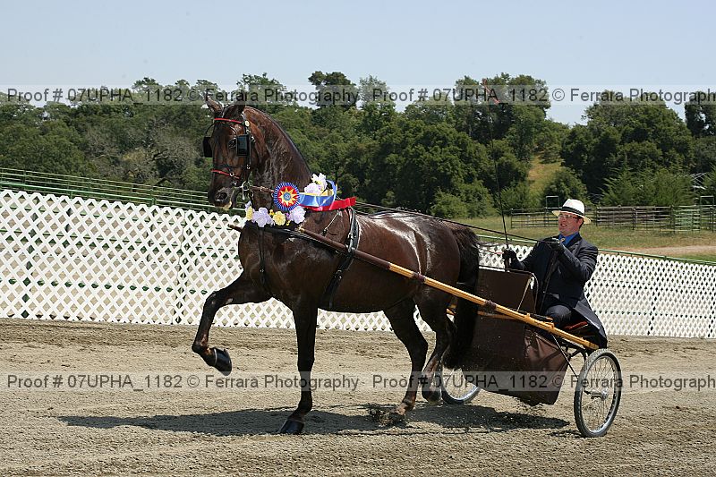 Proof 07upha_1182