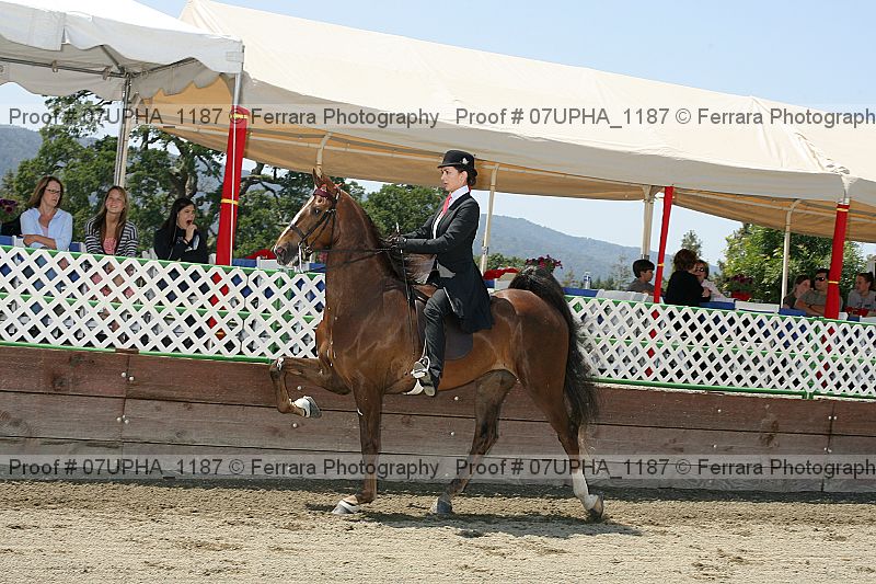Proof 07upha_1187