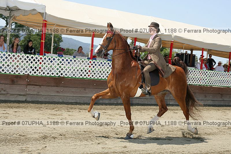 Proof 07upha_1188