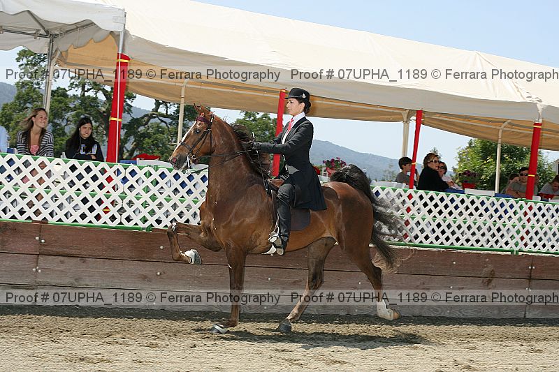 Proof 07upha_1189