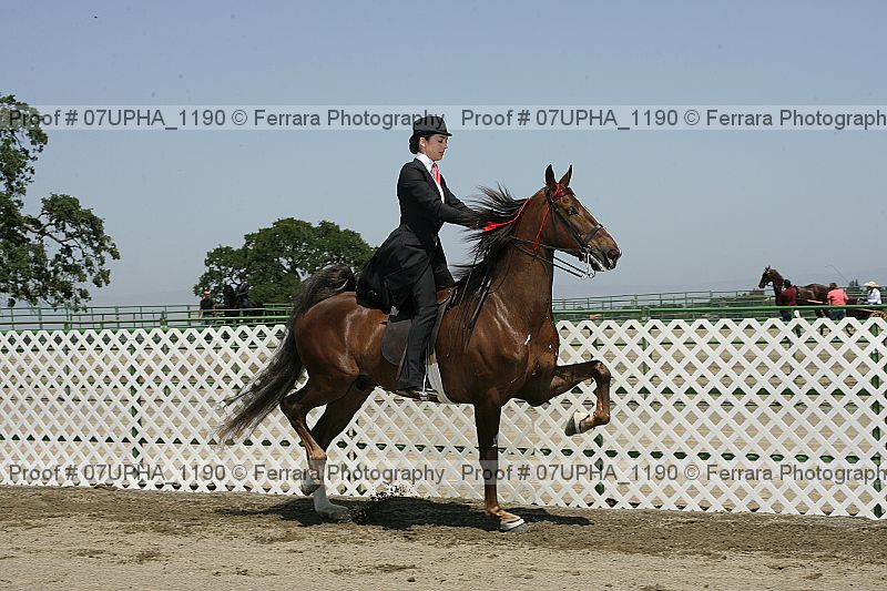 Proof 07upha_1190