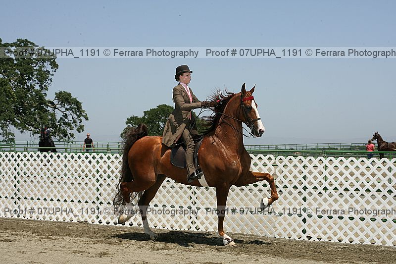 Proof 07upha_1191