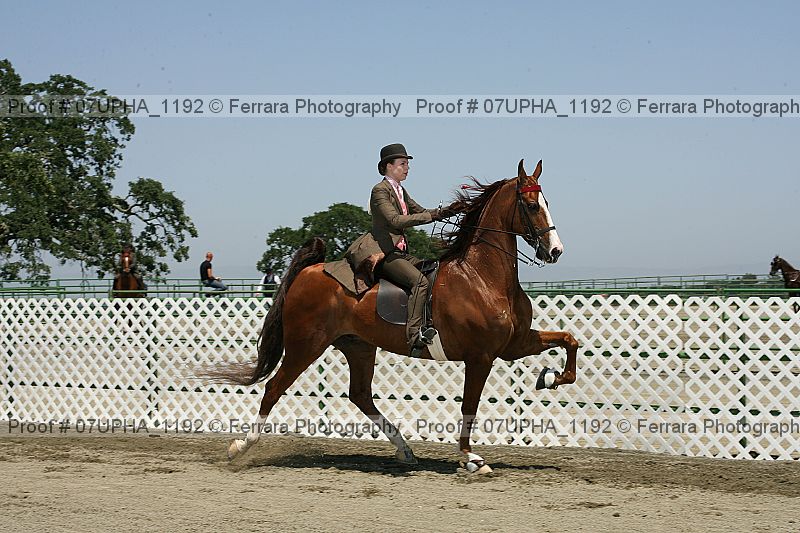 Proof 07upha_1192