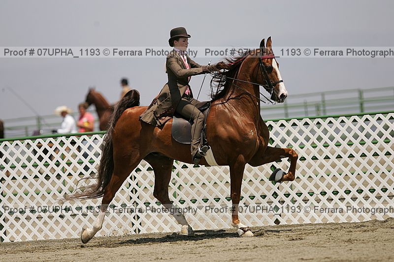 Proof 07upha_1193