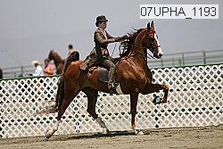 07upha_1193 proof