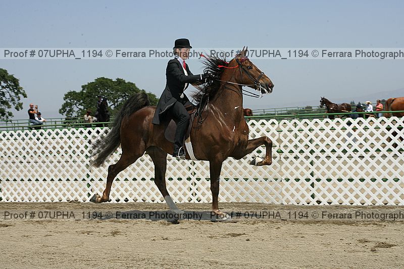 Proof 07upha_1194