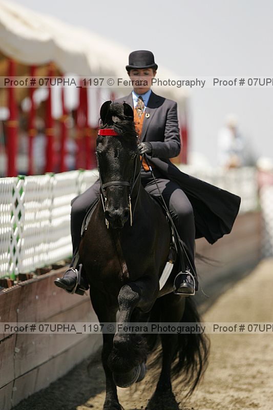 Proof 07upha_1197
