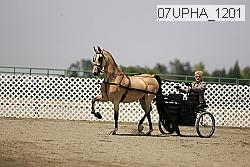 07upha_1201 proof