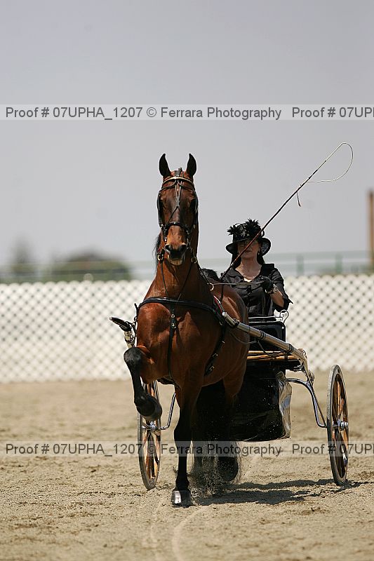 Proof 07upha_1207