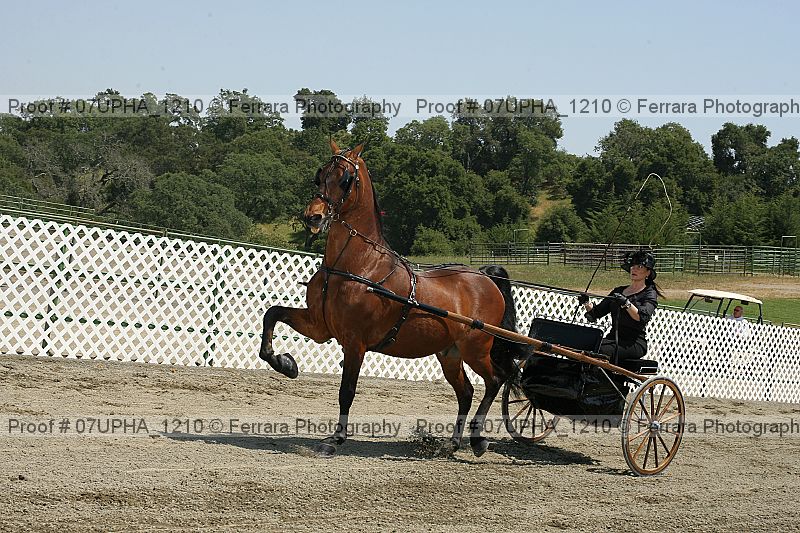 Proof 07upha_1210