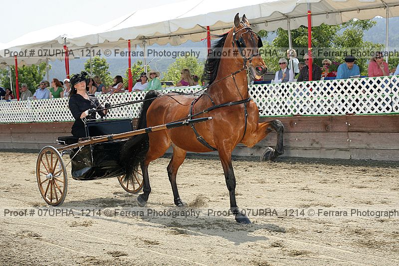 Proof 07upha_1214
