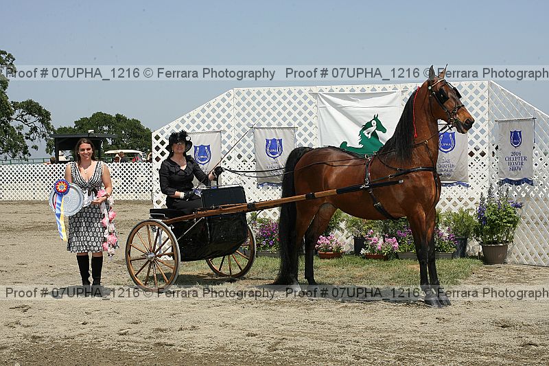 Proof 07upha_1216