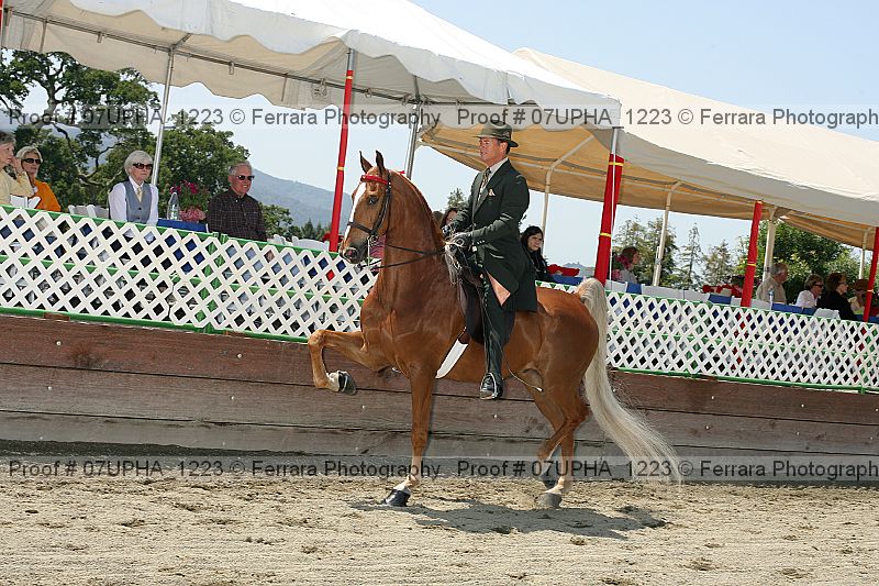 Proof 07upha_1223