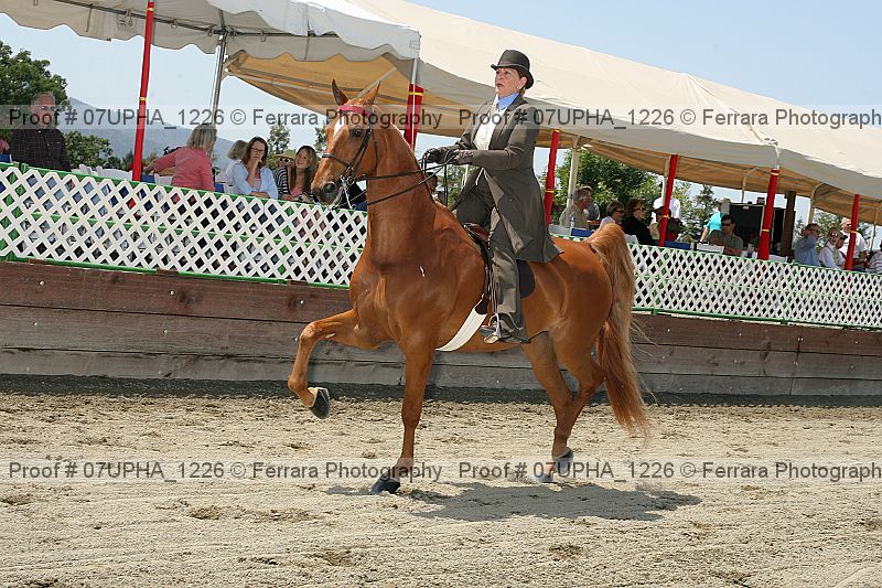 Proof 07upha_1226